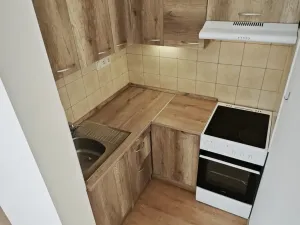 Pronájem bytu 1+kk, Brno - Veveří, Smetanova, 17 m2