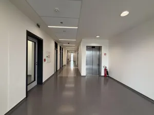 Pronájem kanceláře, Brno - Štýřice, Pražákova, 23 m2