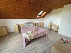 Pronájem rodinného domu, Bříšťany, 230 m2