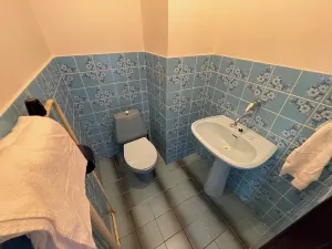 Pronájem rodinného domu, Bříšťany, 230 m2