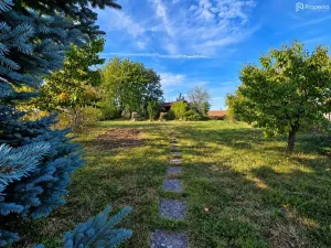 Prodej zahrady, Bedřichov, 737 m2