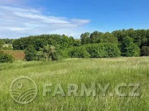 Prodej louky, Kouřim, 12974 m2
