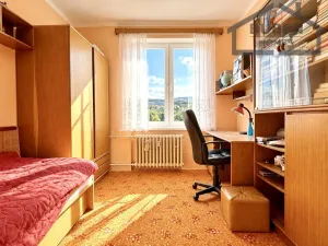 Prodej bytu 3+1, Tachov, Pod Svahem, 59 m2