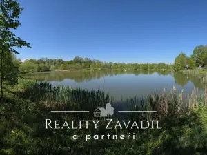 Prodej komerčního pozemku, Žabeň, 32500 m2