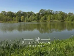 Prodej komerčního pozemku, Žabeň, 32500 m2
