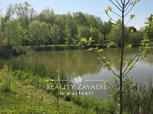 Prodej komerčního pozemku, Žabeň, 32500 m2