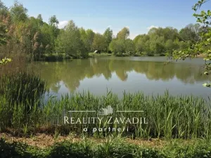 Prodej komerčního pozemku, Žabeň, 32500 m2