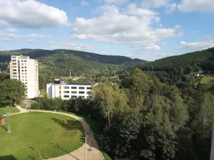 Prodej bytu 1+kk, Tanvald, Horská, 27 m2