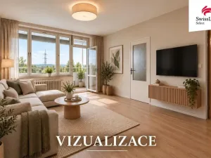 Prodej bytu 2+1, Plzeň - Doudlevce, Heyrovského, 70 m2