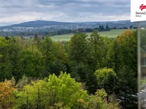 Prodej bytu 2+1, Plzeň - Doudlevce, Heyrovského, 70 m2