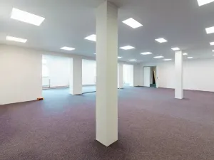 Prodej výrobních prostor, Ostrov, Krátká, 11439 m2