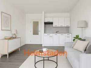 Pronájem bytu 1+kk, Ostrava - Zábřeh, Petruškova, 29 m2