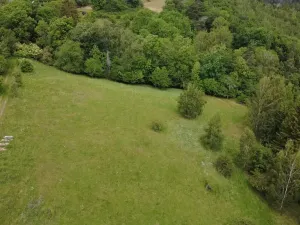 Prodej pozemku pro bydlení, Planá, 2215 m2
