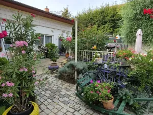 Prodej rodinného domu, Mutěnice, Polní, 235 m2