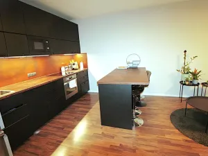 Pronájem bytu 2+kk, Praha - Libeň, Novovysočanská, 55 m2