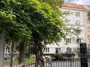 Pronájem bytu 2+kk, Praha - Žižkov, Křišťanova, 58 m2