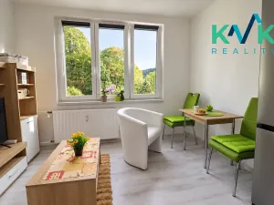 Prodej bytu 1+1, Kraslice, Wolkerova, 35 m2