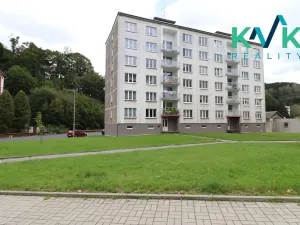 Prodej bytu 1+1, Kraslice, Wolkerova, 35 m2