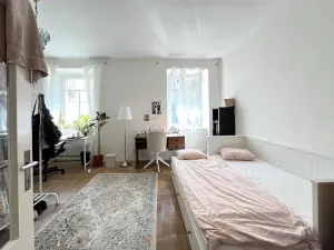 Pronájem bytu 1+1, Brno, Gorkého, 45 m2