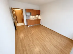 Prodej bytu 1+kk, Brno, Božetěchova, 21 m2
