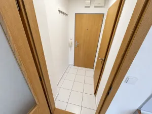 Prodej bytu 1+kk, Brno, Božetěchova, 21 m2
