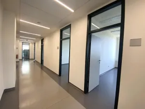 Pronájem kanceláře, Brno - Štýřice, Pražákova, 22 m2