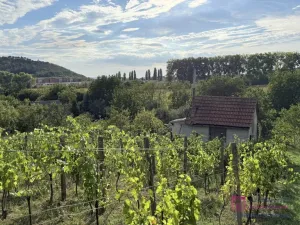 Prodej zahrady, Mikulov, Nová, 14 m2