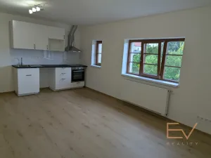 Pronájem bytu 3+kk, Praha - Žižkov, Jeseniova, 110 m2