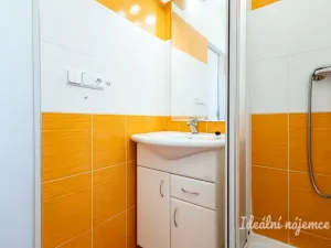 Pronájem bytu 3+1, Praha - Krč, Sládkovičova, 54 m2