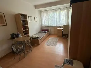 Pronájem bytu 1+kk, Praha - Libeň, Drahobejlova, 20 m2