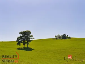 Prodej pozemku pro bydlení, Říčky v Orlických horách, 1400 m2