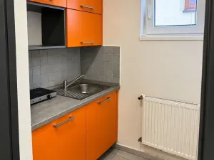 Prodej obchodního prostoru, Liberec - Liberec II-Nové Město, Truhlářská, 110 m2