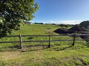 Prodej pozemku pro bydlení, Ptýrov, 1055 m2