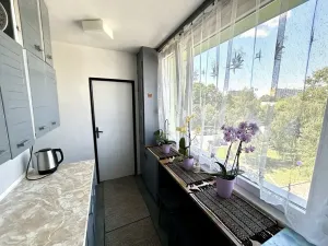 Pronájem bytu 3+1, Pardubice, Lidická, 65 m2