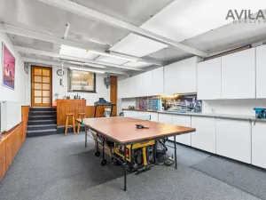 Prodej komerční nemovitosti, Říčany, Kozinova, 300 m2