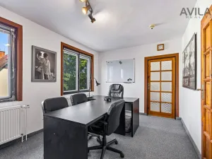 Prodej komerční nemovitosti, Říčany, Kozinova, 300 m2