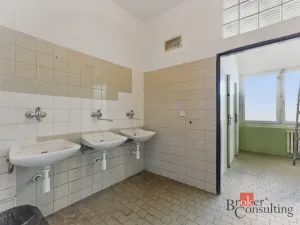 Pronájem výrobních prostor, Hradec Králové - Slezské Předměstí, Výrobní, 376 m2