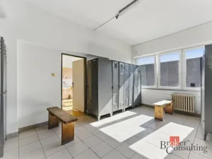 Pronájem výrobních prostor, Hradec Králové - Slezské Předměstí, Výrobní, 376 m2