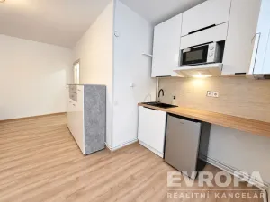 Pronájem bytu 1+kk, Cheb, Hradební, 23 m2