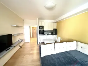 Pronájem bytu 1+kk, Frýdek-Místek - Frýdek, Hasičská, 29 m2