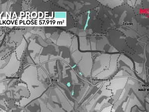 Prodej lesa, Bílá, 11944 m2