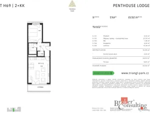 Pronájem bytu 2+kk, Plzeň - Jižní Předměstí, Železná, 52 m2