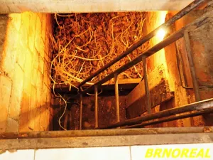 Prodej rodinného domu, Moutnice, 163 m2