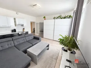 Pronájem bytu 2+kk, Kladno - Kročehlavy, Jaroslava Holečka, 52 m2