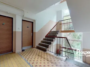 Prodej bytu 1+1, Teplice - Trnovany, Palackého, 36 m2
