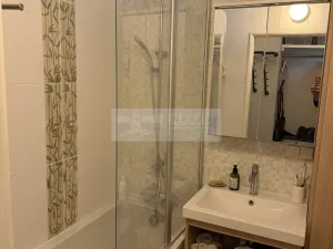 Prodej bytu 3+1, Mladá Boleslav, Palackého, 84 m2