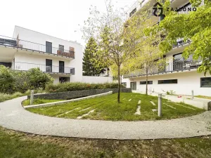 Pronájem bytu 2+kk, Brno, Kollárova, 53 m2