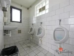 Prodej restaurace, Nýřany, K. H. Máchy, 88 m2