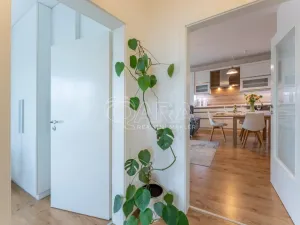 Prodej bytu 3+kk, Praha - Hloubětín, Modrého, 79 m2