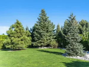 Prodej rodinného domu, Velké Přítočno, 350 m2